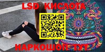 apvp Свободный