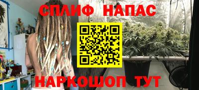 apvp Свободный