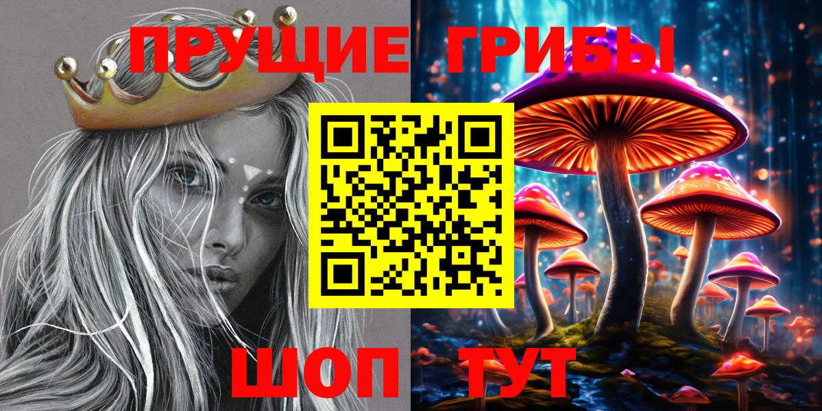 Галлюциногенные грибы Psilocybine cubensis Сарапул