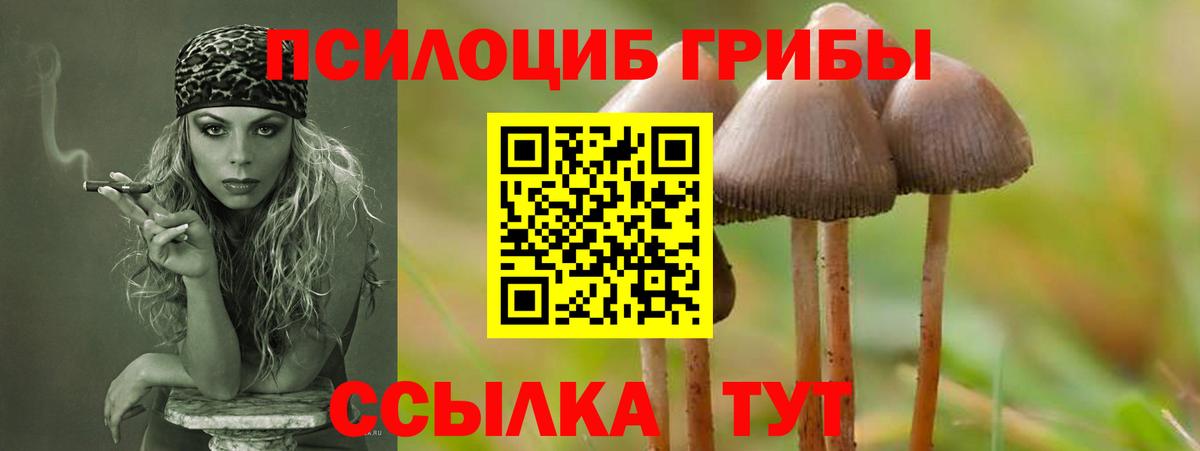 Сарапул  Галлюциногенные грибы Psilocybe  магазин продажи   Вход с VPN 